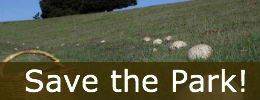Save the Park!