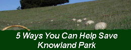 5 Ways You Can Help Save Knowland Park