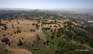 Knowland Park from above, © 2013 Steve Whittaker