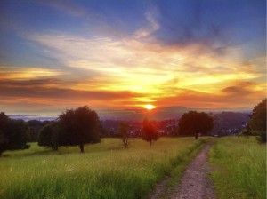 Looking west at sunset from the area the zoo wants to fence in